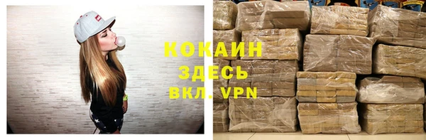 ПСИЛОЦИБИНОВЫЕ ГРИБЫ Вязники