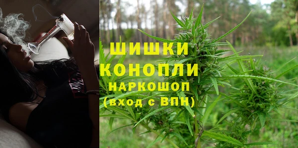 apvp Вязьма