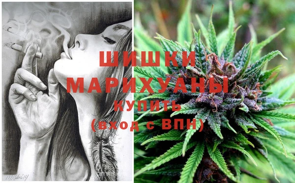 apvp Вязьма