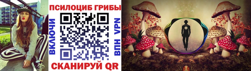 Галлюциногенные грибы прущие грибы  Купить закладки  Кузнецк 