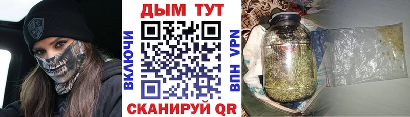 Конопля сатива Кузнецк